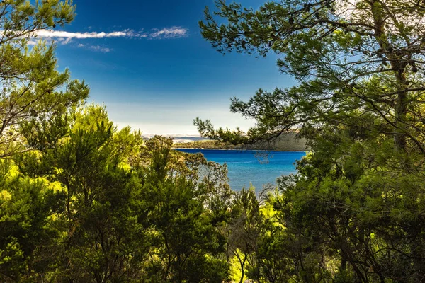 Bir kadın, Rab adasındaki Strucic Sahili 'nin panoramik manzaralı, ormanın ortasında bir bankta oturuyor. Croati.