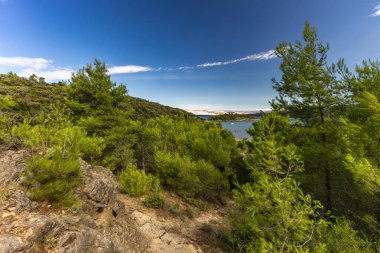 Rab adasındaki kumsal, vahşi Akdeniz bitkisi, Croati 'nin en güzel plajları.