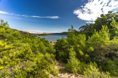 Rab adasındaki kumsal, vahşi Akdeniz bitkisi, Croati 'nin en güzel plajları.