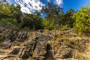 Rab adasındaki kumsal, vahşi Akdeniz bitkisi, Croati 'nin en güzel plajları.