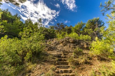 Rab adasındaki kumsal, vahşi Akdeniz bitkisi, Croati 'nin en güzel plajları.