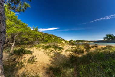 Rab adasındaki kumsal, vahşi Akdeniz bitkisi, Croati 'nin en güzel plajları.