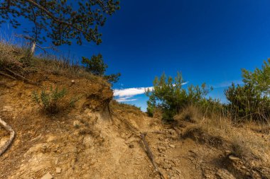 Rab adasındaki kum tepeleri, kıyıya yakın sığ sular, değişen kumullar, Rab, Lopar, Croati