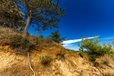 Rab adasındaki kum tepeleri, kıyıya yakın sığ sular, değişen kumullar, Rab, Lopar, Croati