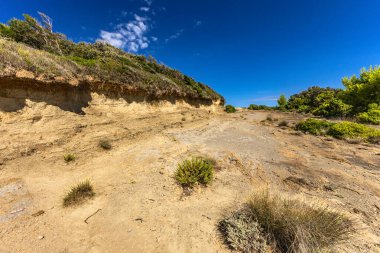 Hırvatistan 'ın Rab adasındaki Stracic Sahili' nde kum tepeleri, kayan kumlar ve yabani Akdeniz bitkileri