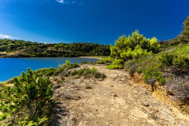 Hırvatistan 'ın Rab adasındaki Stracic Sahili' nde kum tepeleri, kayan kumlar ve yabani Akdeniz bitkileri