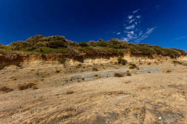 Hırvatistan 'ın Rab adasındaki Stracic Sahili' nde kum tepeleri, kayan kumlar ve yabani Akdeniz bitkileri