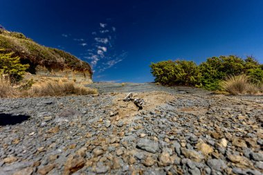 Hırvatistan 'ın Rab adasındaki Stracic Sahili' nde kum tepeleri, kayan kumlar ve yabani Akdeniz bitkileri