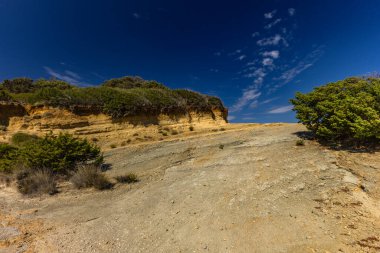 Hırvatistan 'ın Rab adasındaki Stracic Sahili' nde kum tepeleri, kayan kumlar ve yabani Akdeniz bitkileri