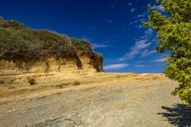 Hırvatistan 'ın Rab adasındaki Stracic Sahili' nde kum tepeleri, kayan kumlar ve yabani Akdeniz bitkileri