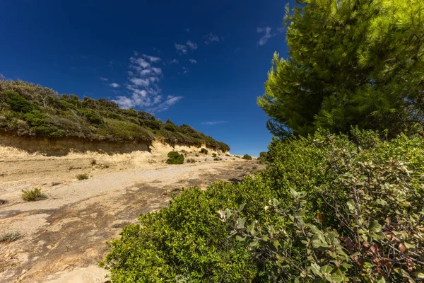 Hırvatistan 'ın Rab adasındaki Stracic Sahili' nde kum tepeleri, kayan kumlar ve yabani Akdeniz bitkileri
