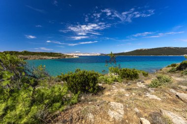 Sandy Sahara Sahili, Rab adasındaki en güzel FKK plajı, natürist plajı, mavi su ve bulutsuz gökyüzü.,