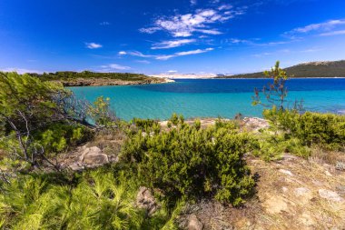 Sandy Sahara Sahili, Rab adasındaki en güzel FKK plajı, natürist plajı, mavi su ve bulutsuz gökyüzü.,
