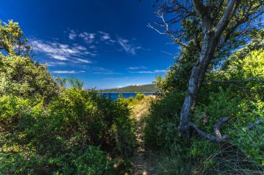 Sandy Sahara Sahili, Rab adasındaki en güzel FKK plajı, natürist plajı, mavi su ve bulutsuz gökyüzü.,