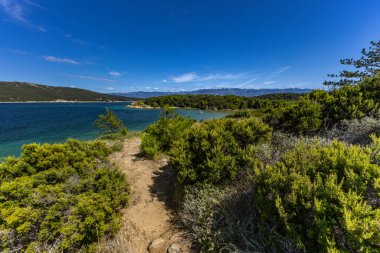 Sandy Sahara Sahili, Rab adasındaki en güzel FKK plajı, natürist plajı, mavi su ve bulutsuz gökyüzü.,