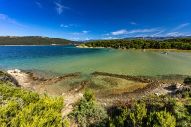 Sandy Sahara Sahili, Rab adasındaki en güzel FKK plajı, natürist plajı, mavi su ve bulutsuz gökyüzü.,