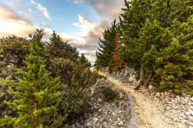Rab Adası 'ndaki Cennet Plajı, Dağ Yolu' ndaki bir bakış açısı, Preguri Yolu.