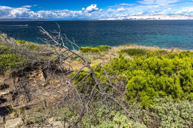 Hırvatistan 'ın Rab adasındaki FKK natürist plajı Ciganka, vahşi doğa, kayalık sahil, sakin Adriyatik Se