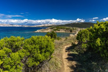 Hırvatistan 'ın Rab adasındaki FKK natürist plajı Ciganka, vahşi doğa, kayalık sahil, sakin Adriyatik Se
