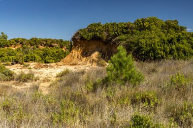 Kum tepeleri, kaya oluşumları ve Hırvatistan 'ın Rab adasındaki Ciganka doğabilimci plajına giden yol.