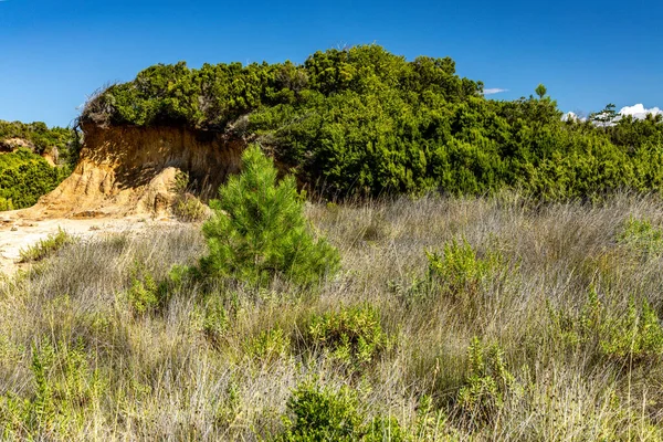 Kum tepeleri, kaya oluşumları ve Hırvatistan 'ın Rab adasındaki Ciganka doğabilimci plajına giden yol.