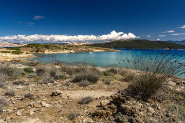 Hırvatistan 'ın Rab adasındaki Sahil Ciganka FKK natüristi, vahşi doğa, kayalık sahil, sakin Adriyatik Se