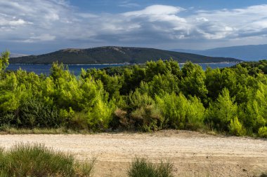 Tavşan adasındaki Podsilo Sahili 'ne doğru giden yoğun bir ormana giden yol, kum tepeleri, bataklık kumları, Akdeniz bitkileri Hırvatistan