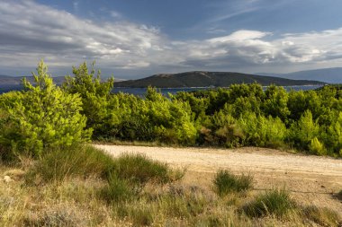 Tavşan adasındaki Podsilo Sahili 'ne doğru giden yoğun bir ormana giden yol, kum tepeleri, bataklık kumları, Akdeniz bitkileri Hırvatistan