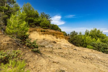 Tavşan adasındaki Podsilo Sahili 'ne doğru giden yoğun bir ormana giden yol, kum tepeleri, bataklık kumları, Akdeniz bitkileri Hırvatistan