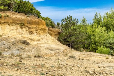 Tavşan adasındaki Podsilo Sahili 'ne doğru giden yoğun bir ormana giden yol, kum tepeleri, bataklık kumları, Akdeniz bitkileri Hırvatistan