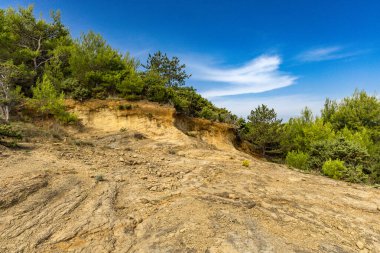 Tavşan adasındaki Podsilo Sahili 'ne doğru giden yoğun bir ormana giden yol, kum tepeleri, bataklık kumları, Akdeniz bitkileri Hırvatistan