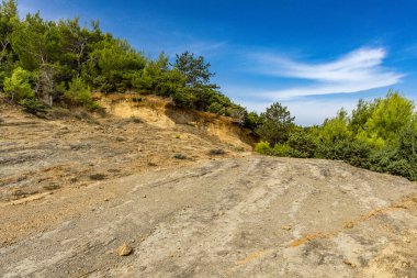 Tavşan adasındaki Podsilo Sahili 'ne doğru giden yoğun bir ormana giden yol, kum tepeleri, bataklık kumları, Akdeniz bitkileri Hırvatistan