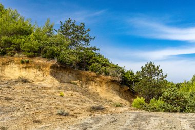 Tavşan adasındaki Podsilo Sahili 'ne doğru giden yoğun bir ormana giden yol, kum tepeleri, bataklık kumları, Akdeniz bitkileri Hırvatistan