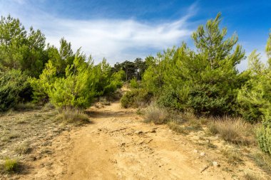 Tavşan adasındaki Podsilo Sahili 'ne doğru giden yoğun bir ormana giden yol, kum tepeleri, bataklık kumları, Akdeniz bitkileri Hırvatistan