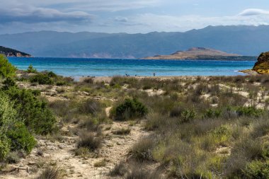 Tavşan adasındaki Podsilo Sahili 'ne doğru giden yoğun bir ormana giden yol, kum tepeleri, bataklık kumları, Akdeniz bitkileri Hırvatistan