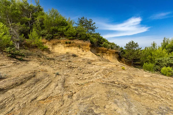Tavşan adasındaki Podsilo Sahili 'ne doğru giden yoğun bir ormana giden yol, kum tepeleri, bataklık kumları, Akdeniz bitkileri Hırvatistan