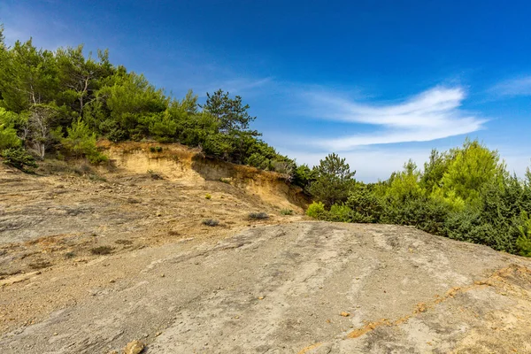 Tavşan adasındaki Podsilo Sahili 'ne doğru giden yoğun bir ormana giden yol, kum tepeleri, bataklık kumları, Akdeniz bitkileri Hırvatistan