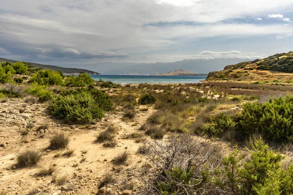 Tavşan adasındaki Podsilo Sahili 'ne doğru giden yoğun bir ormana giden yol, kum tepeleri, bataklık kumları, Akdeniz bitkileri Hırvatistan
