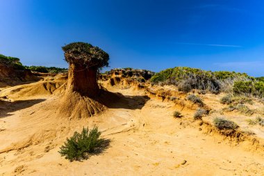 Kum tepeleri, kaya oluşumları ve Tavşan Adası 'ndaki Ciganka doğabilimci plajına giden bir yol.