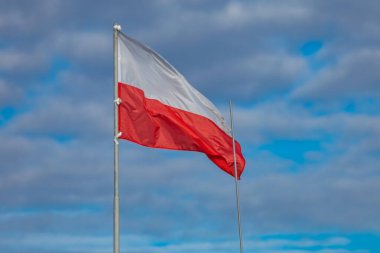 Polonya Cumhuriyeti bayrağı, ofisin çatısında beyaz ve kırmızı bayrak, rüzgarda dalgalanan bayrak gökyüzüne karşı