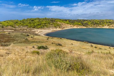 Rab adasındaki vahşi kumsal Podsilo, insansız boş plaj, Hırvatistan 'da vahşi plajlar