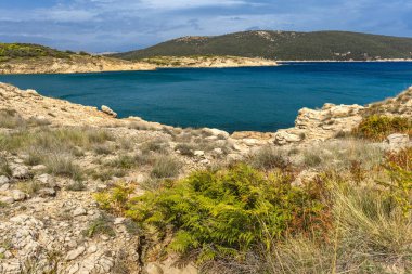 Rab adasındaki vahşi kumsal Podsilo, insansız boş plaj, Hırvatistan 'da vahşi plajlar