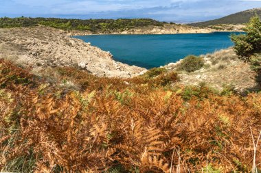 Rab adasındaki vahşi kumsal Podsilo, insansız boş plaj, Hırvatistan 'da vahşi plajlar