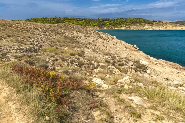 Rab adasındaki vahşi kumsal Podsilo, insansız boş plaj, Hırvatistan 'da vahşi plajlar