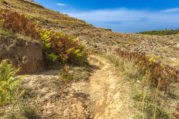 Rab adasındaki vahşi kumsal Podsilo, insansız boş plaj, Hırvatistan 'da vahşi plajlar