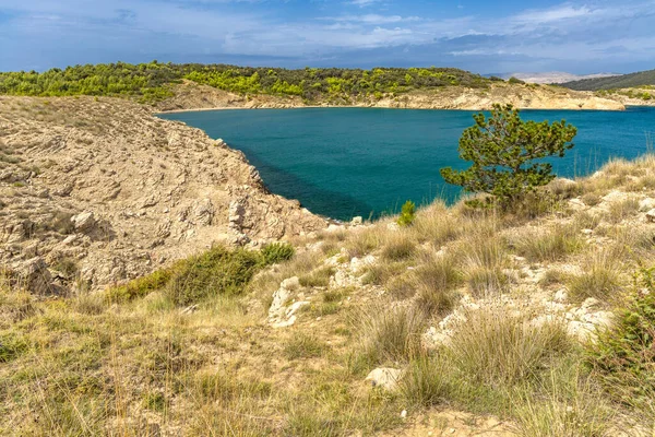 Rab adasındaki vahşi kumsal Podsilo, insansız boş plaj, Hırvatistan 'da vahşi plajlar