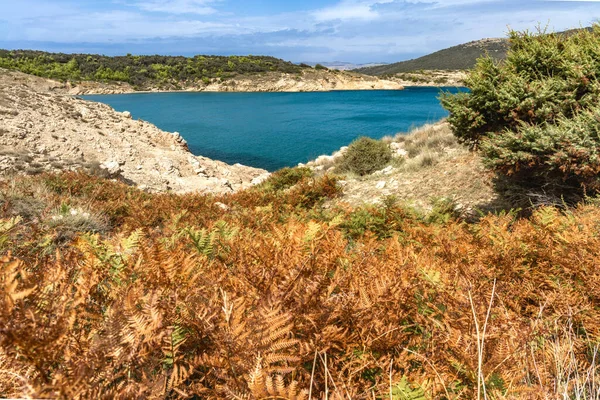 Rab adasındaki vahşi kumsal Podsilo, insansız boş plaj, Hırvatistan 'da vahşi plajlar
