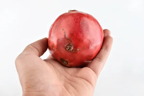 Hand Holding Pomegranate Isolated White Background — Stock Photo, Image