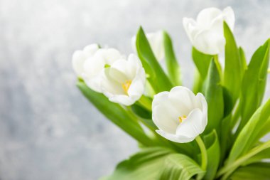 Hafif desenli arka planda beyaz laleler. Kutlama buketi anneler günü, sevgililer günü, doğum günü kutlaması konsepti. Tebrik kartı. Uzayı kopyala Metin için yer.