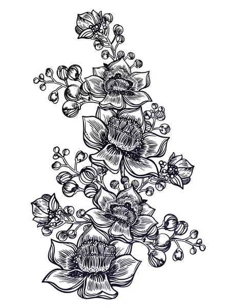 Exotic tropical flowers. Wild summer flowers, stem bouquet sketch in line art style.